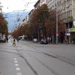 DSC08903.jpg