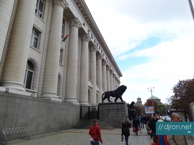 DSC08929.jpg