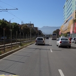 DSC09013.jpg