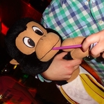 DSC00985.jpg