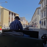 DSC05687.jpg