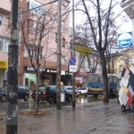img 031.jpg
