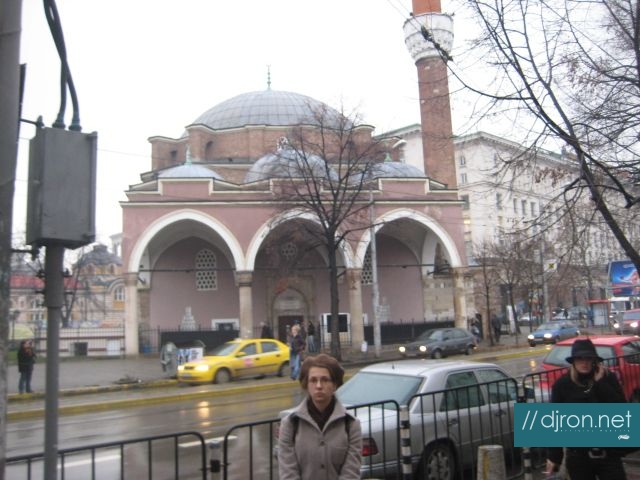 kmg (02).jpg