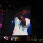 img 098.jpg