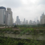 img 059.jpg