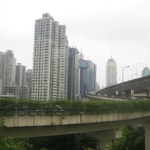 img 062.jpg