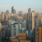 img 305.jpg
