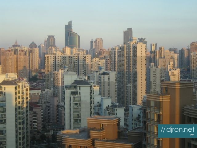 img 305.jpg