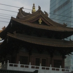 img 623.jpg