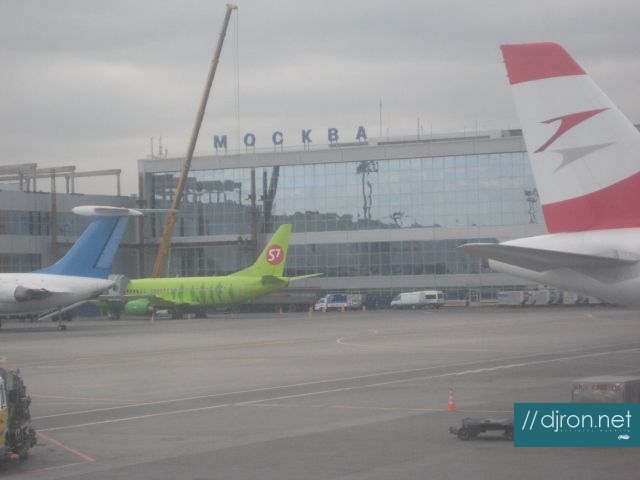 img 017.jpg