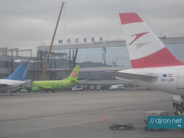 img 018.jpg