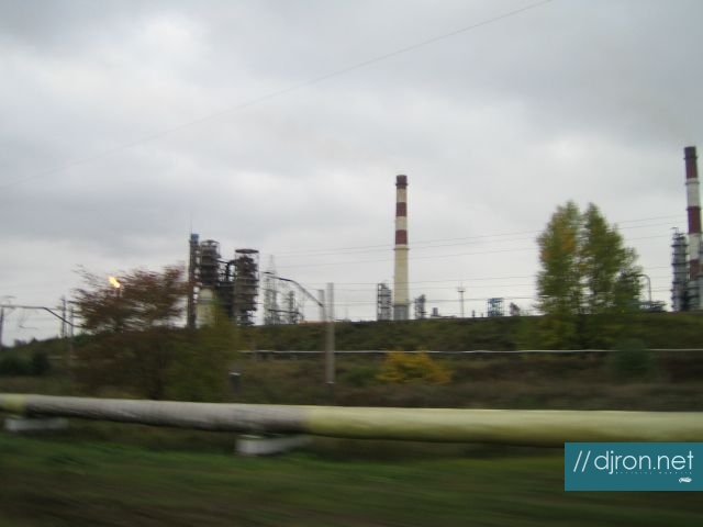 img 273.jpg