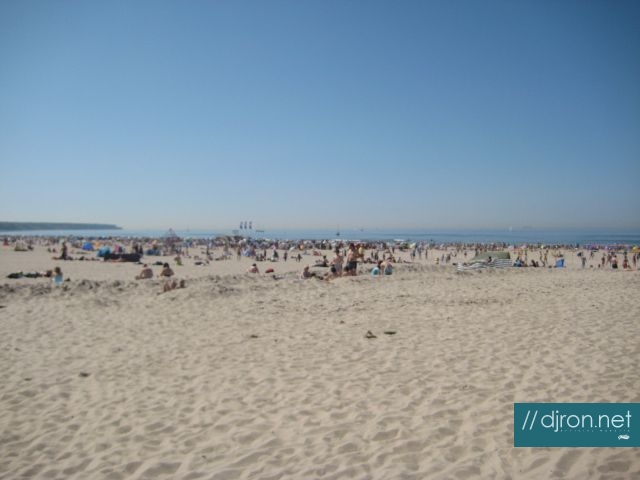 img 015.jpg