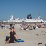 img 049.jpg