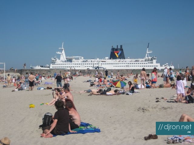 img 049.jpg