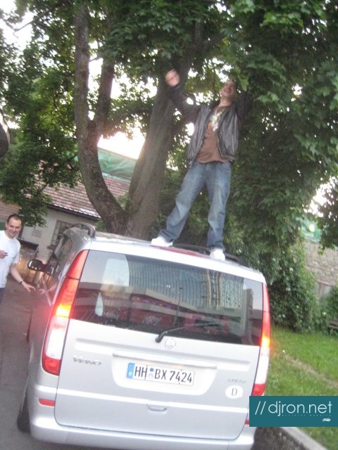 img 142.jpg