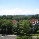 img 162.jpg