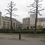 IMG_5666.jpg
