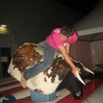img 092.jpg