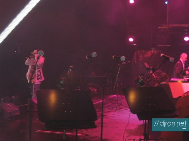img 247.jpg