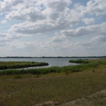 DSC 007.jpg