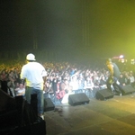 img 142.jpg