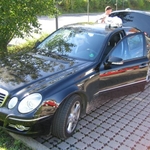 img 161.jpg