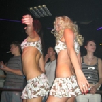 img 018.jpg