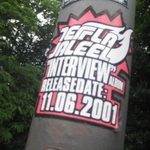 img 133.jpg