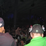 img 029.jpg