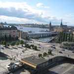 IMG_9788.jpg