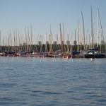 IMG_9851.jpg