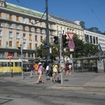 IMG_1424.jpg