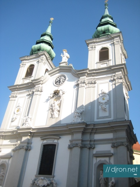 IMG_1466.jpg