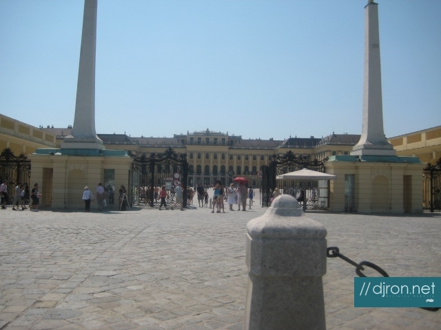 IMG_1681.jpg