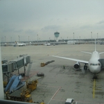 IMG_3846.jpg
