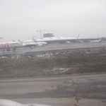 img 019.jpg