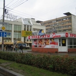 img 247.jpg