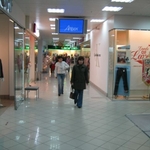 img 249.jpg