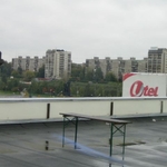 img 252.jpg