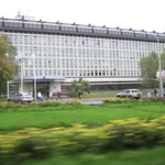 img 260.jpg