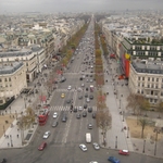 IMG_7135.jpg
