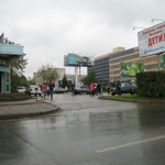 img 264.jpg