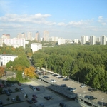 img 443.jpg
