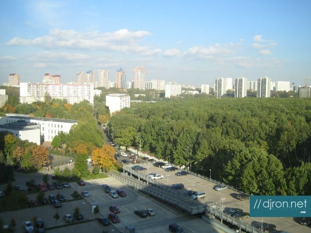 img 443.jpg