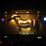 DSC02095.jpg