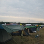 IMG_2334.jpg