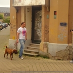 DSC07850.jpg