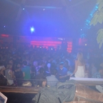 DSC01317.jpg