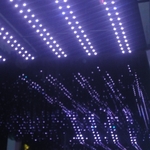 DSC03711.jpg